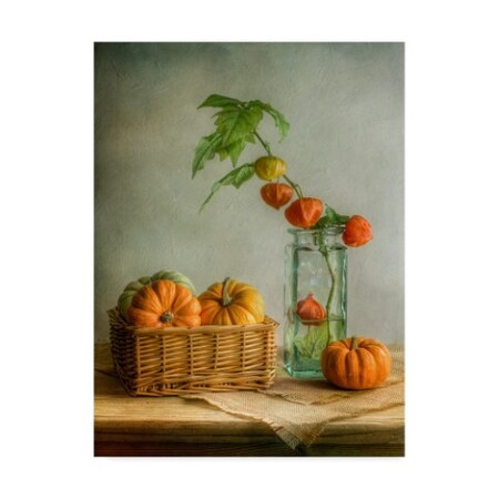 Trademark Fine Art Mandy Disher 'Autumn Pumpkins Ii' Canvas Art, 24x32 1X05237-C2432GG